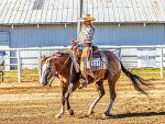Around the Rings – Ohio Foundation QHA August 2025 Ranch Show