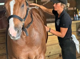 Benefits of Massage in Horses