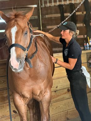 Benefits of Massage in Horses