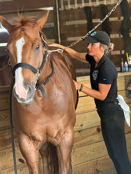 Benefits of Massage in Horses