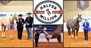 English, Drawdy & Watson Score Leading Titleholder Awards at 2025 Halter Million