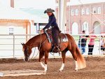 Kaysinger Horse Show Circuit: A Legacy of Community, Competition, and Celebration