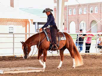 Kaysinger Horse Show Circuit: A Legacy of Community, Competition, and Celebration