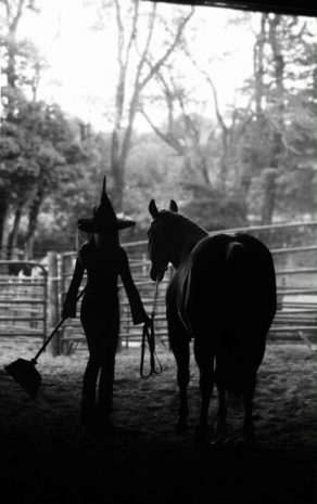 EC Photo of the Day – I Put a Spell On You EC Photo of the Day – I Put a Spell On You