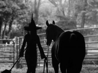 EC Photo of the Day – I Put a Spell On You EC Photo of the Day – I Put a Spell On You