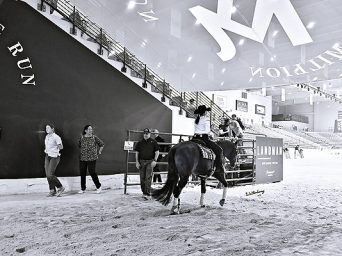 From The Run For A Million to the AQHA World Show – 75-year-old Teresa Goforth Continues Her Journey into OKC From The Run For A Million to the AQHA World Show – 75-year-old Teresa Goforth Continues Her Journey into OKC