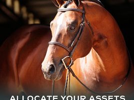 NSBA Stallion Service Auction Now Open