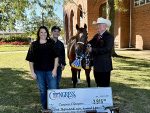 Survival to Show Ring Success: TB Double Feature and Jarrell Jackson Earn Yearling Maiden Open Stallion Stakes Title for Terry Bradshaw
