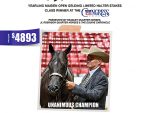 Hesa Solar Flare sweeps Inaugural Yearling Maiden Open Gelding Halter Stakes