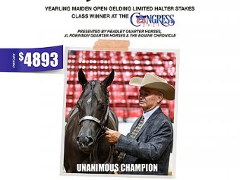 Hesa Solar Flare sweeps Inaugural Yearling Maiden Open Gelding Halter Stakes