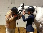 2025 All American Quarter Horse Congress Over Fence Class Results