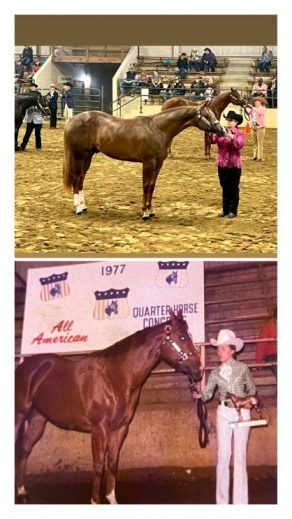 EC Photo of the Day – Congress: Truly A Family Tradition EC Photo of the Day – Congress: Truly A Family Tradition