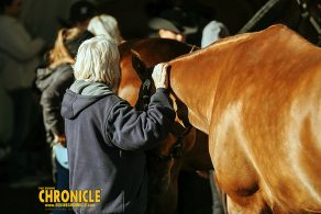 EC Photo of the Day – True Love EC Photo of the Day – True Love