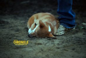 EC Photo of the Day – Unconditional Love EC Photo of the Day – Unconditional Love