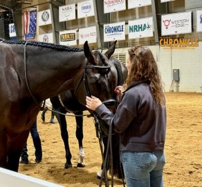 EC Photo of the Day – The Most Splendid Gift