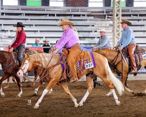 Effects of Shoeing Materials on Equine Gait
