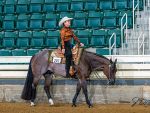 Around the Rings – NCQHA District IV 2025 Little River Show