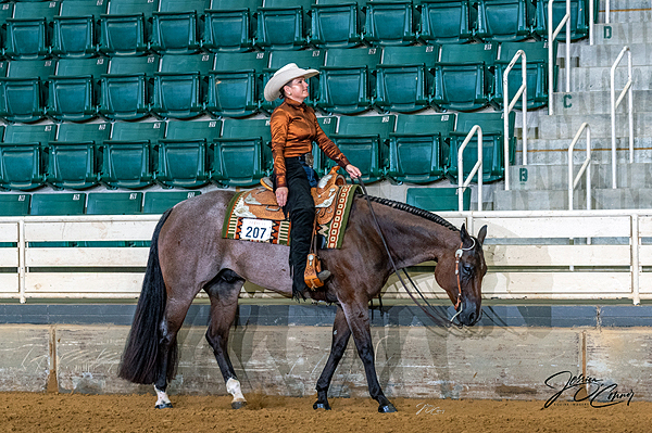 Around the Rings – NCQHA District IV 2025 Little River Show