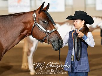 Around the Rings – 2025 Michigan Apple Blossom Circuit September Show