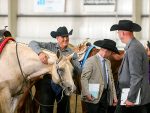 Around the Rings – 2025 Nebraska QHA Silver Classic