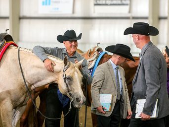 Around the Rings – 2025 Nebraska QHA Silver Classic