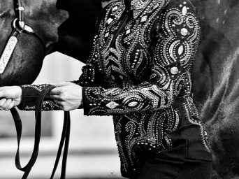 Around the Rings – 2025 Oklahoma Pinto Fall Color Classic Around the Rings – 2025 Oklahoma Pinto Fall Color Classic