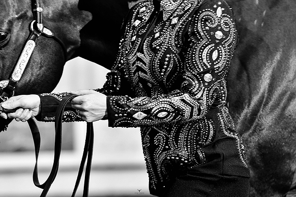 Around the Rings – 2025 Oklahoma Pinto Fall Color Classic Around the Rings – 2025 Oklahoma Pinto Fall Color Classic