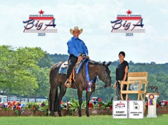 WI Quarter Horse Partners Acquire Rising Star Mare “Forever In Always” (Peppermint) from Liz Baker