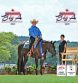 WI Quarter Horse Partners Acquire Rising Star Mare “Forever In Always” (Peppermint) from Liz Baker