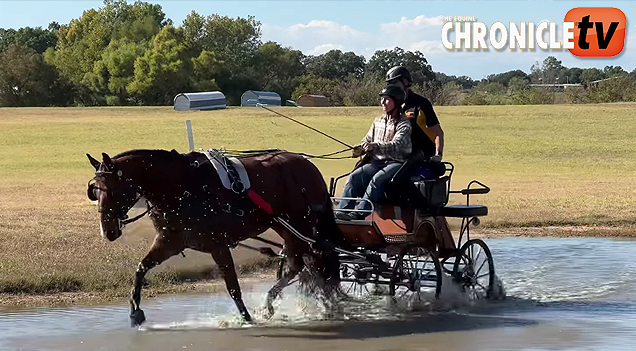 Jeanine Jones Conquers the World with This Shine Jeanine Jones Conquers the World with This Shine