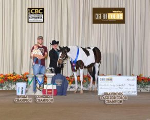 EC Photo of the Day – In Living Color