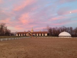 Deceased Horses Found Locked In Stalls At Ohio Show Barn