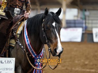 Amateur Ranch Trail L2 & L3 at the 2025 AQHA World Show