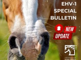 Updates on EHV-1 Outbreak from American Horse Council