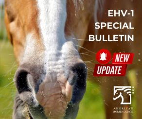 Updates on EHV-1 Outbreak from American Horse Council