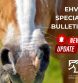 Updates on EHV-1 Outbreak from American Horse Council