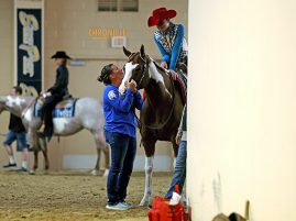 Around the Rings – 2025 APHA Western National, November 1 & 2