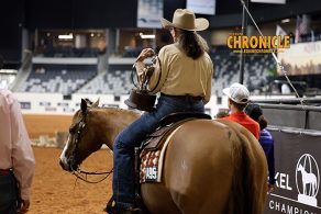 Which of the 77 Teams is Coming Back for Amateur Working Western Rail Finals?