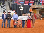 AQHA 2025 World Show Award Recognition Recap