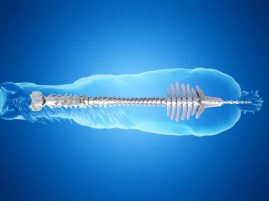 Using Ultrasound to Diagnose SI Joint Disease in Horses