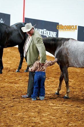 EC Photo of the Day – Look Up