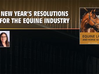 Equine Law – New Year’s Resolutions For The Equine Industry
