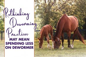Rethinking Deworming Practices