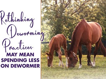 Rethinking Deworming Practices