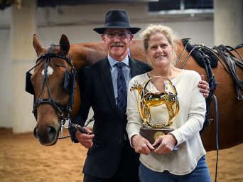 Kevin Dukes wins Senior Pleasure Driving with Orange Is The NewBay for Cathy Corrigan Frank