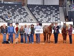 AQHA 2025 World Show Award Recognition Recap Number Two