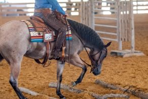 Ranch Trail Obstacle Measurements