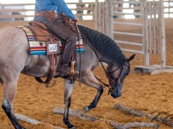Ranch Trail Obstacle Measurements