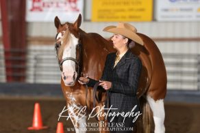 EC Photo of the Day – The Horse’s Presence