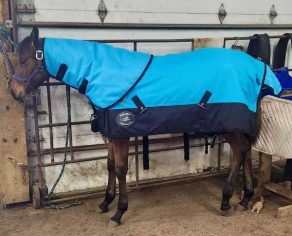 EC Photo of the Day – Welcome, Winter